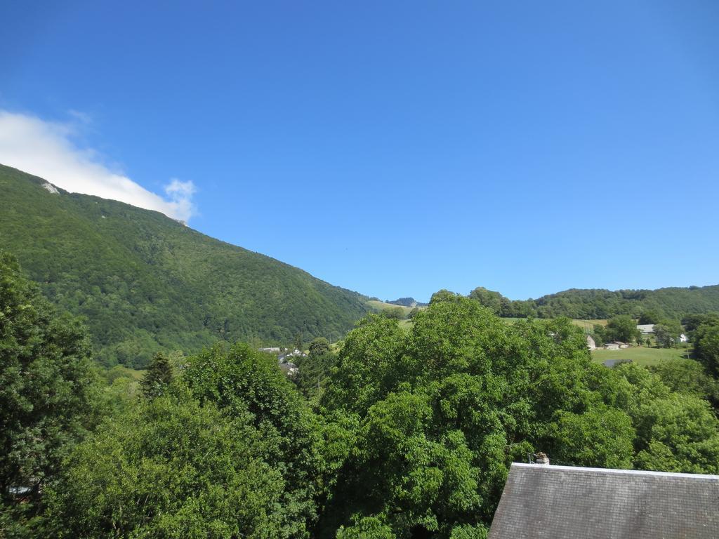 Hotel Les Deux Cols 圣玛丽德康庞 客房 照片